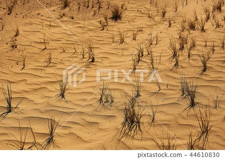texture desert land sand dunes barkhans, deserts 44610830