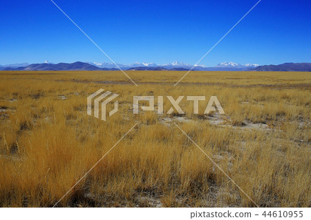 soil corrosion cracks on the ground soil corrosion cracks on the ground 44610955