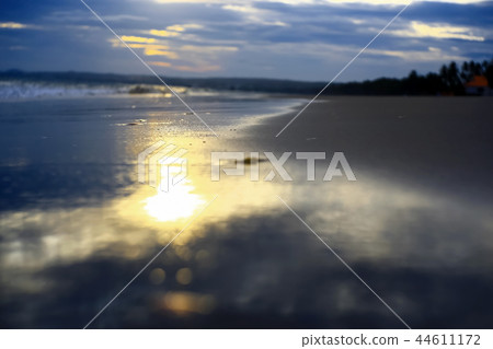 Beach in the tropics Beach in the tropics 44611172