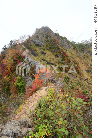 Togaku ant tower crossing autumn leaves Togaku ant tower crossing autumn leaves 44612297