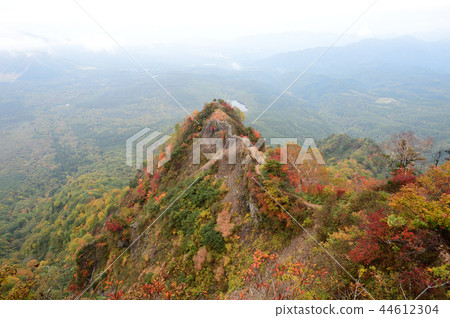 Togaku ant tower crossing autumn leaves Togaku ant tower crossing autumn leaves 44612304