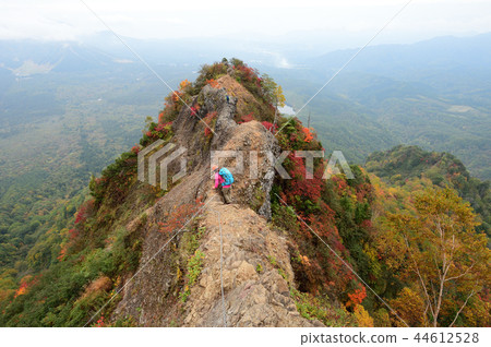 Togaku ant tower crossing autumn leaves Togaku ant tower crossing autumn leaves 44612528