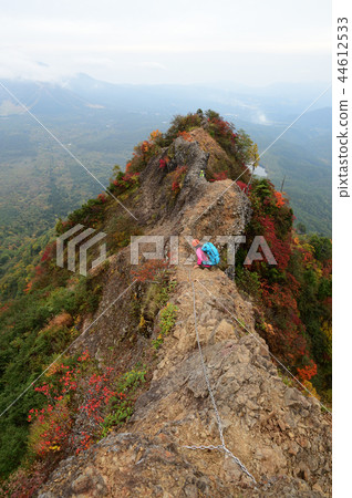Togaku ant tower crossing autumn leaves 44612533