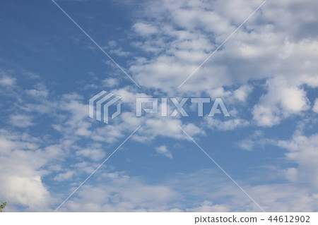 天堂 天堂 44612902