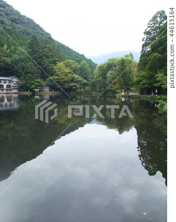 金湖 44615164