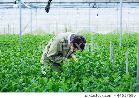 農耕養殖場 農耕養殖場 44617690