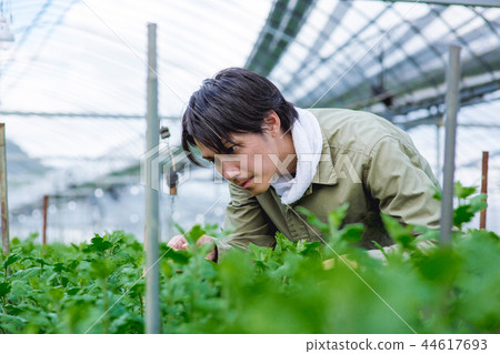農耕養殖場 農耕養殖場 44617693