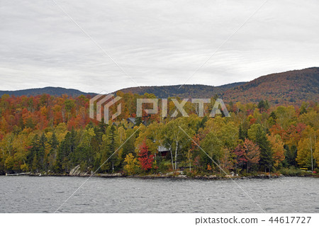 勞倫森高原/遊船的風景 勞倫森高原/遊船的風景 44617727