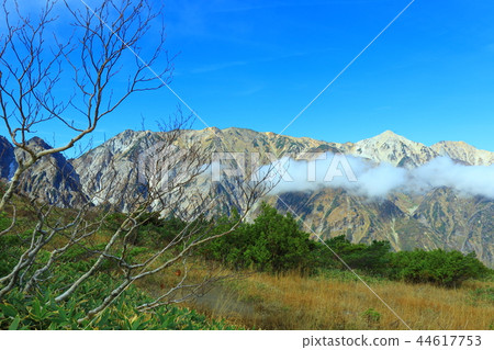 Happo山到白馬山脈 44617753