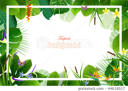 Tropical leaf background in greeting template. Tropical leaf background in greeting template. 44618017
