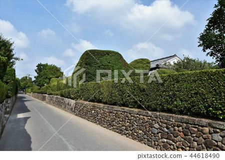 Chiran samurai residence in early summer 44618490