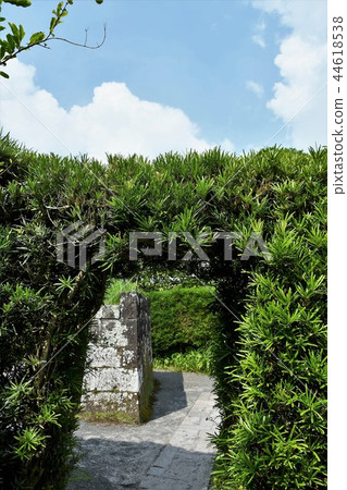 Chiran samurai residence in early summer Chiran samurai residence in early summer 44618538