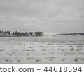 雪域 44618594