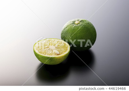 ·/ / 44619466