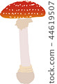  毒蘑菇 44619507