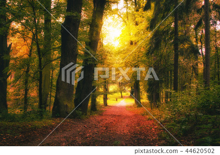 Vintage photo of beautiful early autumn european Vintage photo of beautiful early autumn european 44620502