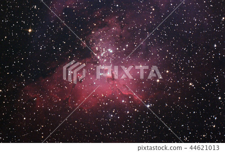 Waka Nebula 44621013