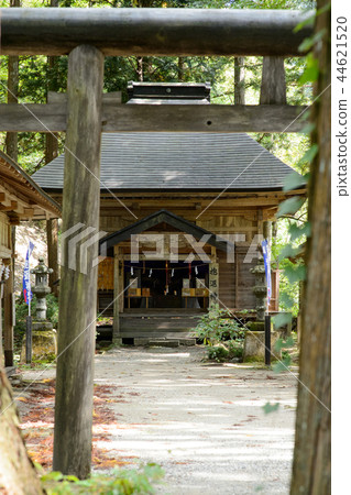 Shining Shrine Akita Shining Shrine Akita 44621520