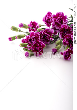 System name 44621923