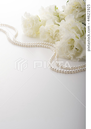  Turkey Powder 44621925