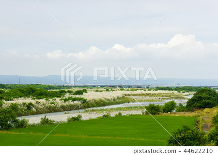 一塊,一塊,醬油般的油,桑田若草,一大塊白蓮花。 一塊,一塊,醬油般的油,桑田若草,一大塊白蓮花。 44622210