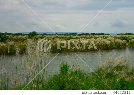 The river is full of flowers. The river is full of flowers. 44622811