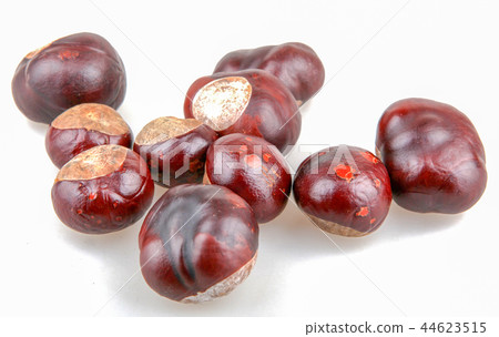 Horse chestnut isolated on white background 44623515
