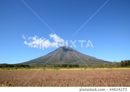 Yotei mountain Kigorobetsu cho Yotei mountain Kigorobetsu cho 44624273