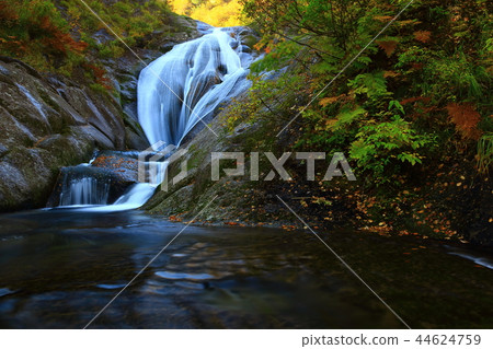 Momodong Valley in the autumn leaves 44624759