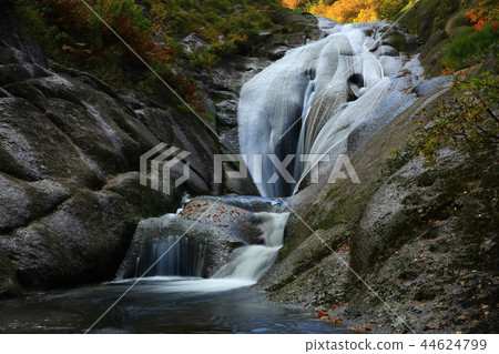 在秋葉的Momodong谷 在秋葉的Momodong谷 44624799