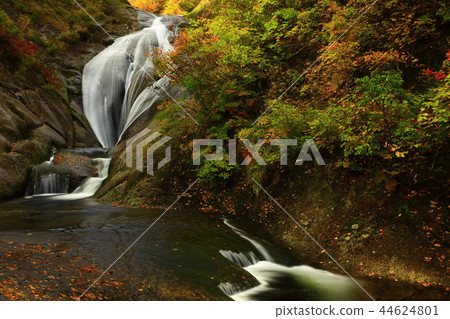 Momodong Valley in the autumn leaves Momodong Valley in the autumn leaves 44624801