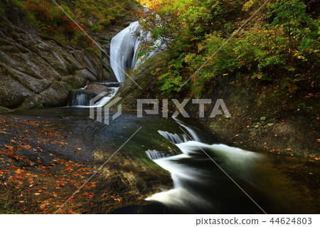 Momodong Valley in the autumn leaves 44624803