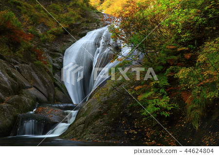 Momodong Valley in the autumn leaves 44624804