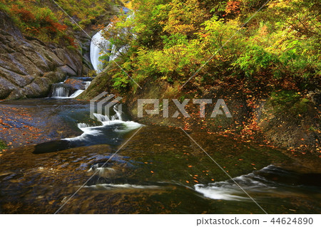Momodong Valley in the autumn leaves 44624890