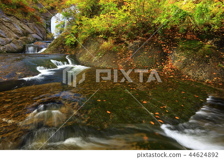 Momodong Valley in the autumn leaves Momodong Valley in the autumn leaves 44624892