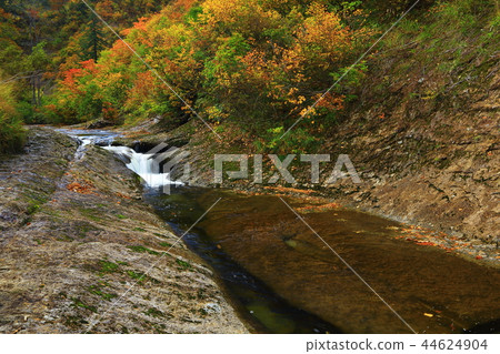Momodong Valley in the autumn leaves 44624904