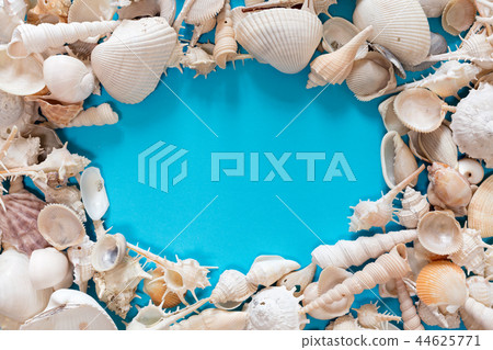 Oval Seashells flat lay pattern on blue background Oval Seashells flat lay pattern on blue background 44625771