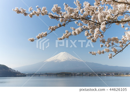 在河口湖和富士山的櫻花 在河口湖和富士山的櫻花 44626105