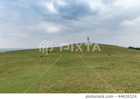 Higashi-zaki lighthouse Higashi-zaki lighthouse 44626324