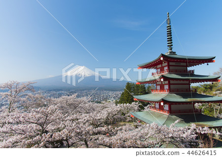 富士山和盛開的櫻花 富士山和盛開的櫻花 44626415