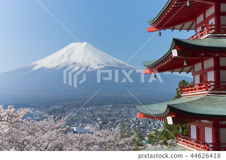 Mt. Fuji and cherry blossoms in full bloom Mt. Fuji and cherry blossoms in full bloom 44626418