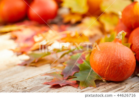 Thanksgiving border background. Autumn background Thanksgiving border background. Autumn background 44626716