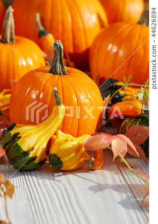Autumn Fall background with pumpkins Autumn Fall background with pumpkins 44626894