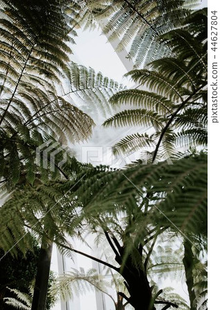 Green leaf Green leaf 44627804