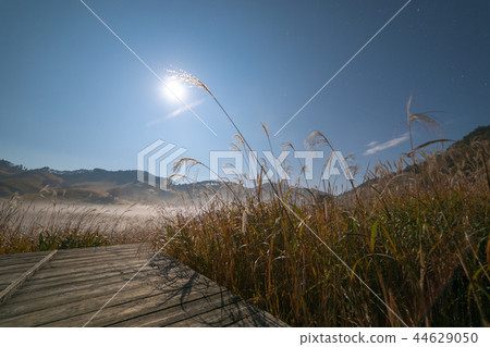 Tohomine plateau full moon night 44629050