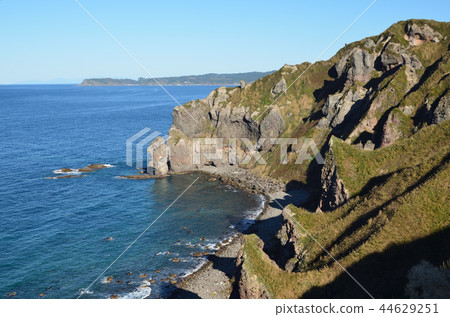 Shingen cho Kamihami 44629251