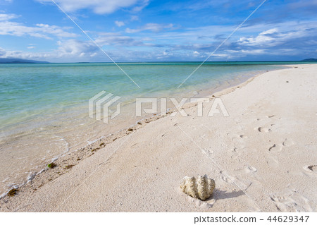 沖繩竹富島Kondoi海灘 44629347