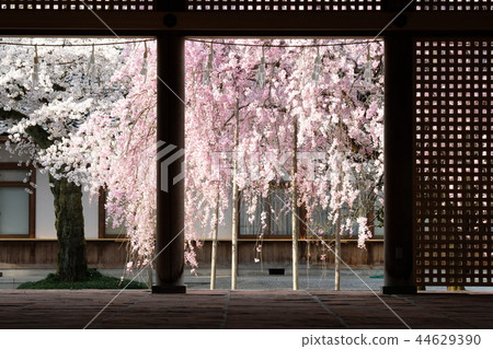 神社 44629390