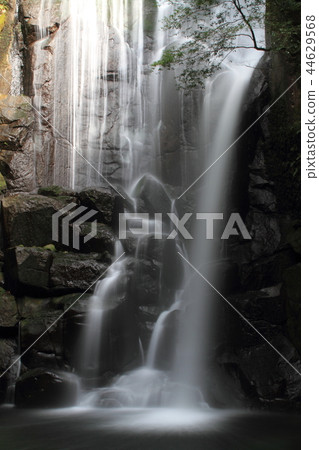 Kuwano樹瀑布 44629568