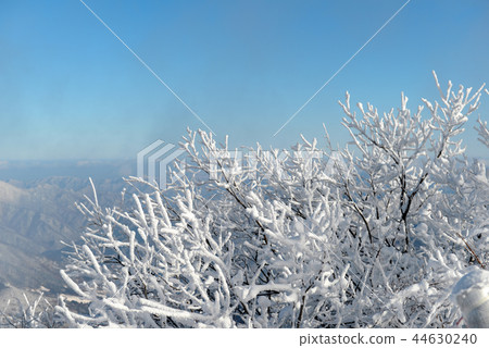 Deogyusan雪 44630240